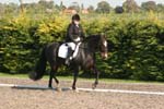 Alan Long IMG_0137.jpg