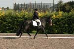 Alan Long IMG_0140.jpg