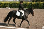 Alan Long IMG_0149.jpg