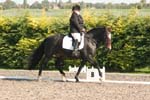 Alan Long IMG_0151.jpg
