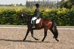 Alan Long IMG_0158.jpg