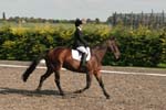 Alan Long IMG_0164.jpg