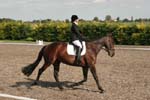 Alan Long IMG_0166.jpg