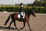 Alan Long IMG_0168.jpg