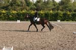 Alan Long IMG_0171.jpg