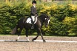 Alan Long IMG_0179.jpg