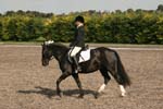 Alan Long IMG_0180.jpg