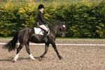 Alan Long IMG_0185.jpg