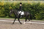 Alan Long IMG_0187.jpg