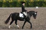 Alan Long IMG_0191.jpg