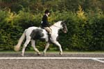 Alan Long IMG_0202.jpg