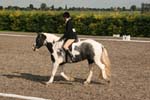 Alan Long IMG_0206.jpg