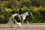 Alan Long IMG_0209.jpg