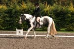 Alan Long IMG_0216.jpg