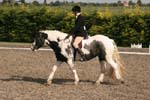 Alan Long IMG_0218.jpg