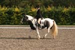 Alan Long IMG_0220.jpg