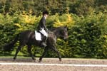 Alan Long IMG_0223.jpg