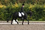 Alan Long IMG_0232.jpg