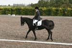Alan Long IMG_0234.jpg