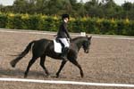 Alan Long IMG_0235.jpg