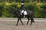Alan Long IMG_0238.jpg