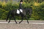 Alan Long IMG_0245.jpg