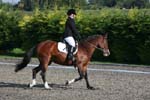 Alan Long IMG_5055.jpg