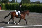 Alan Long IMG_5062.jpg